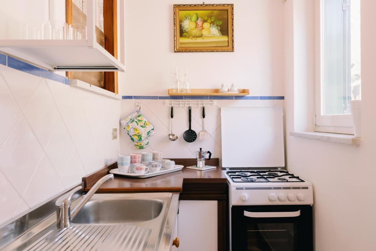 Apartment Pucare *